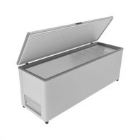 Ларь морозильный Frostor F 800 S белый (серая рамка) STANDART (пропан) Ларь морозильный Frostor F 800 S белый (серая рамка) STANDART (пропан)