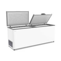Ларь морозильный Frostor F 800 SD белый (серая рамка) STANDART DOUBLE (пропан) Ларь морозильный Frostor F 800 SD белый (серая рамка) STANDART DOUBLE (пропан)